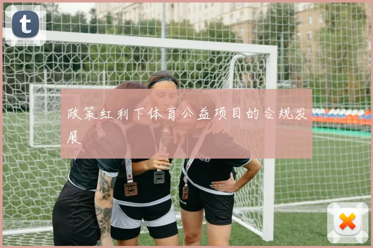 政策红利下体育公益项目的合规发展