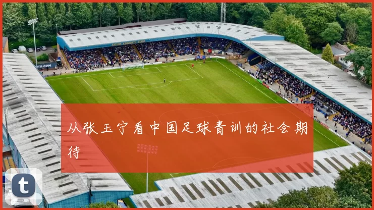 从张玉宁看中国足球青训的社会期待