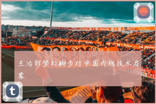 王治郅梦幻脚步对中国内线技术启蒙