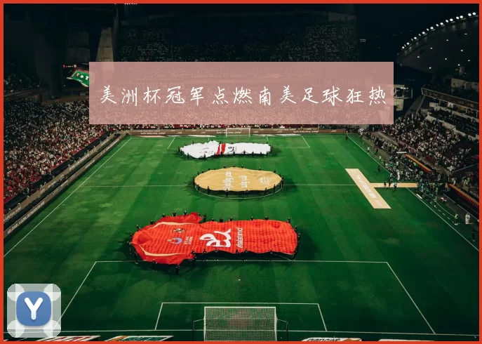 美洲杯冠军点燃南美足球狂热