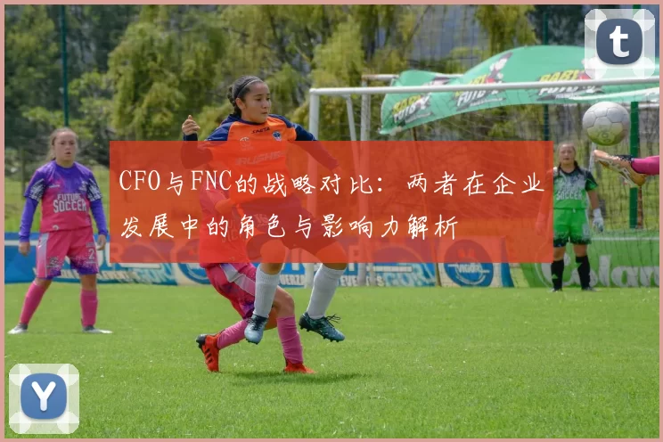 CFO与FNC的战略对比：两者在企业发展中的角色与影响力解析
