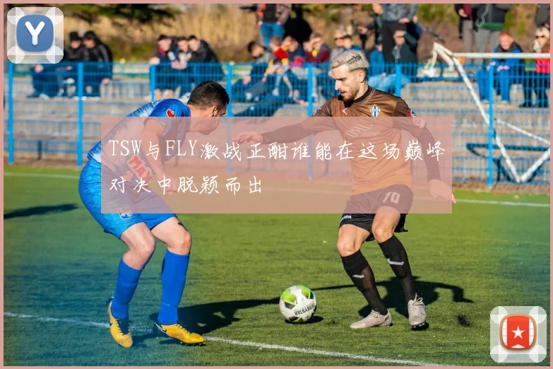TSW与FLY激战正酣谁能在这场巅峰对决中脱颖而出