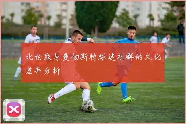 北伦敦与曼彻斯特球迷社群的文化差异分析