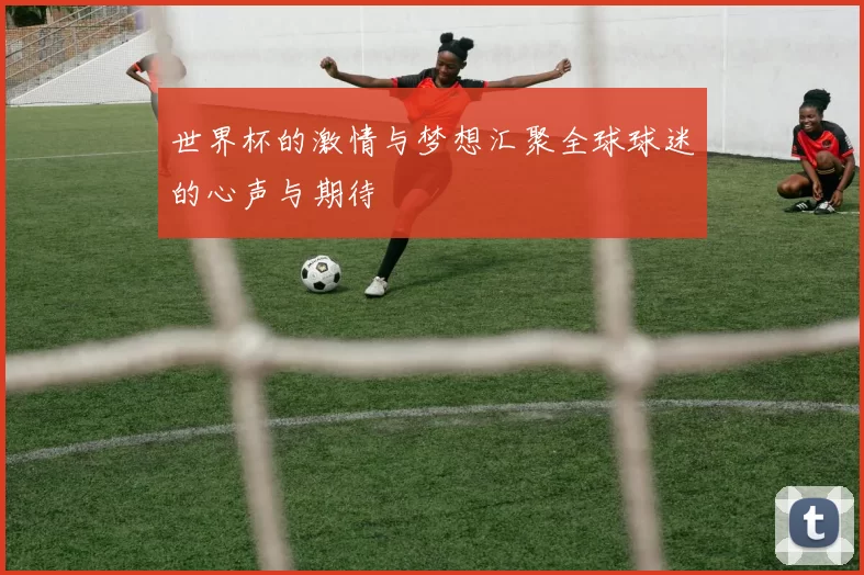 世界杯的激情与梦想汇聚全球球迷的心声与期待
