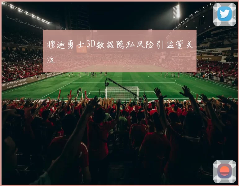 穆迪勇士3D数据隐私风险引监管关注