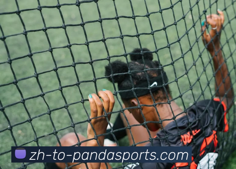 熊猫体官网APP 封面图